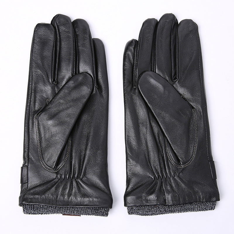 Leather Gloves for Men - HatnGloves.com