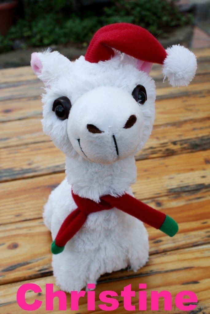 PacaBuddies Stuffed Alpaca Toys - HatnGloves.com