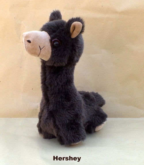 PacaBuddies Stuffed Alpaca Toys - HatnGloves.com